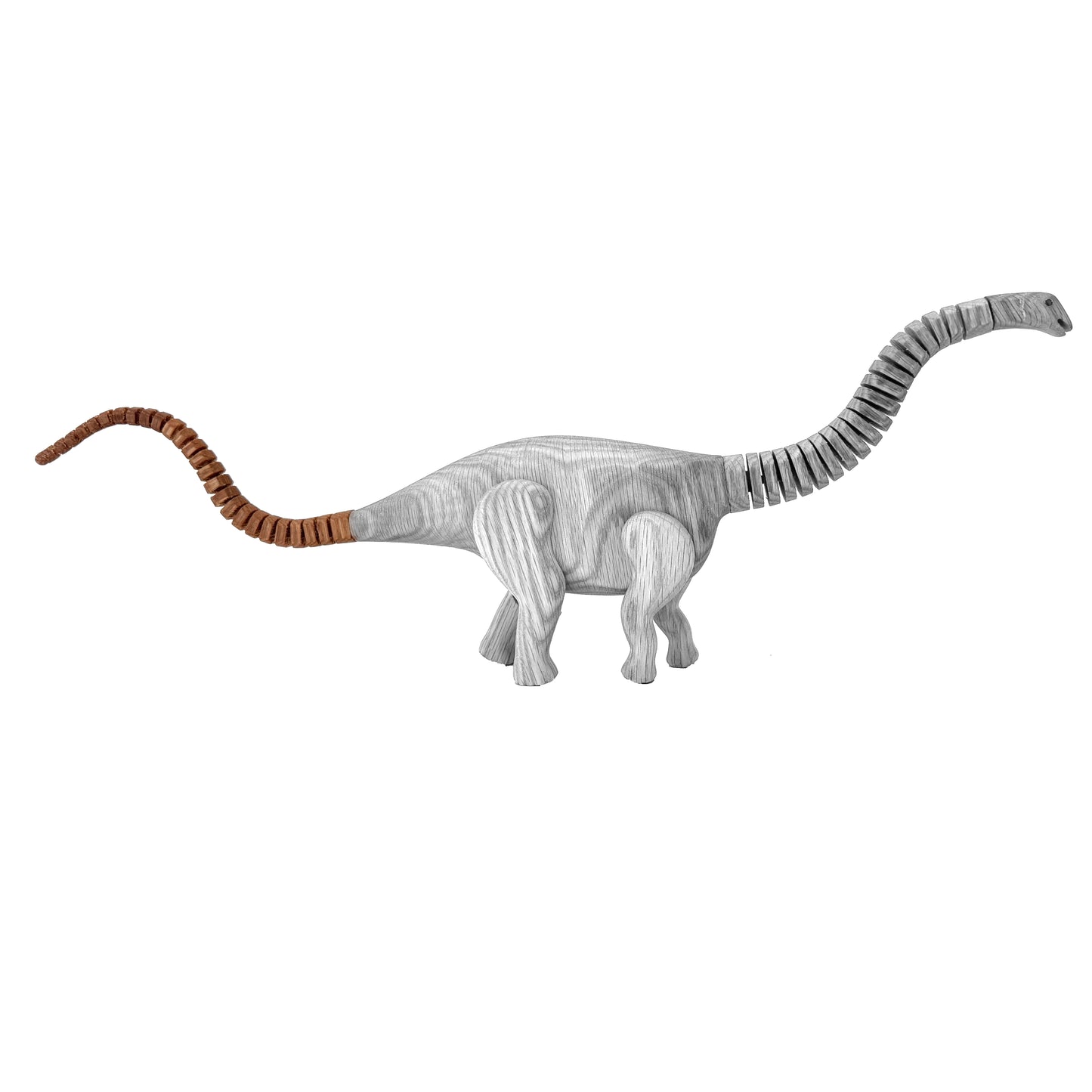 Apatosaurus Tail