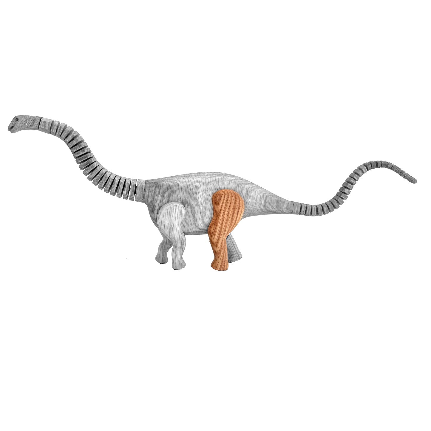 Apatosaurus Left Rear Leg