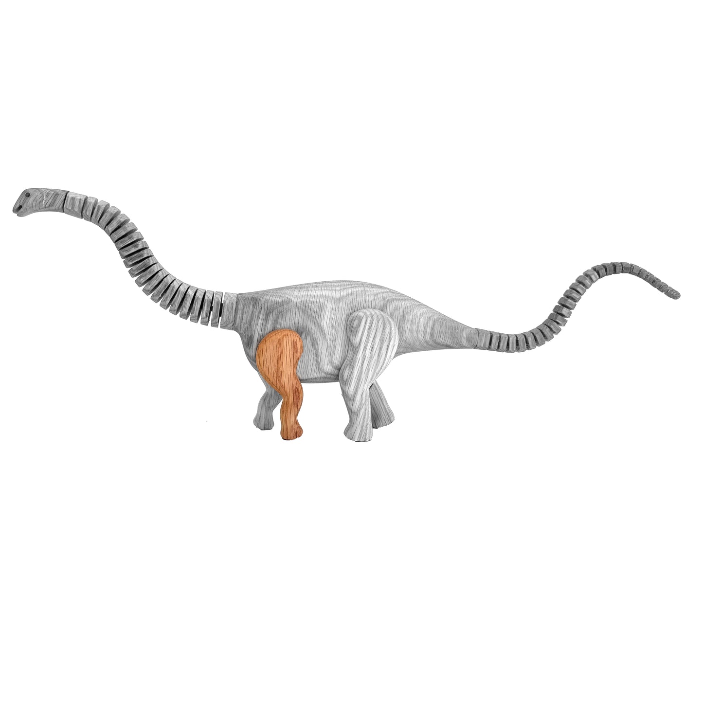 Apatosaurus Left Front Leg