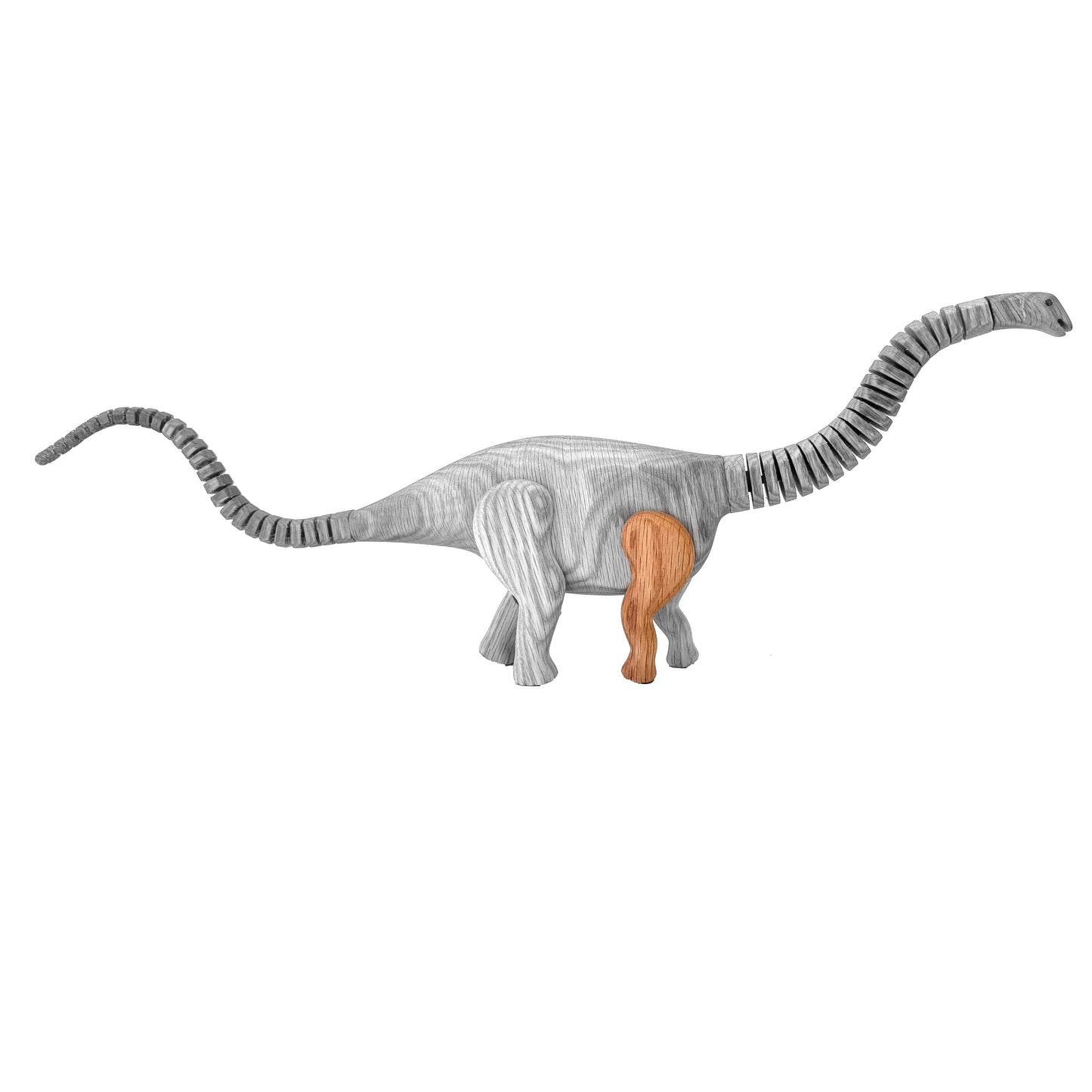 Apatosaurus Right Front Leg