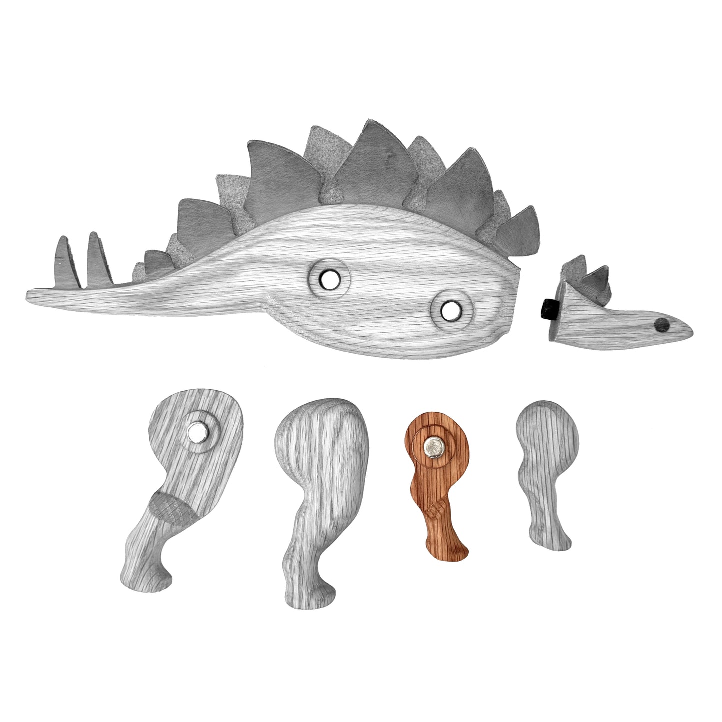Stegosaurus Left Front Leg