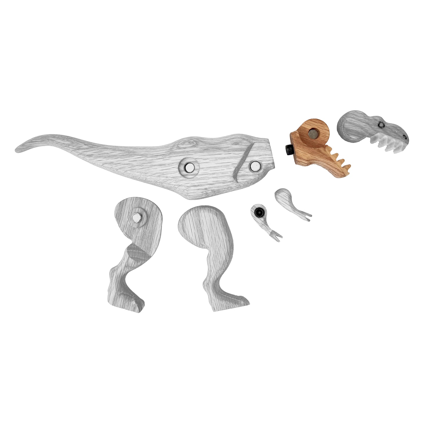 Tyrannosaurus Head