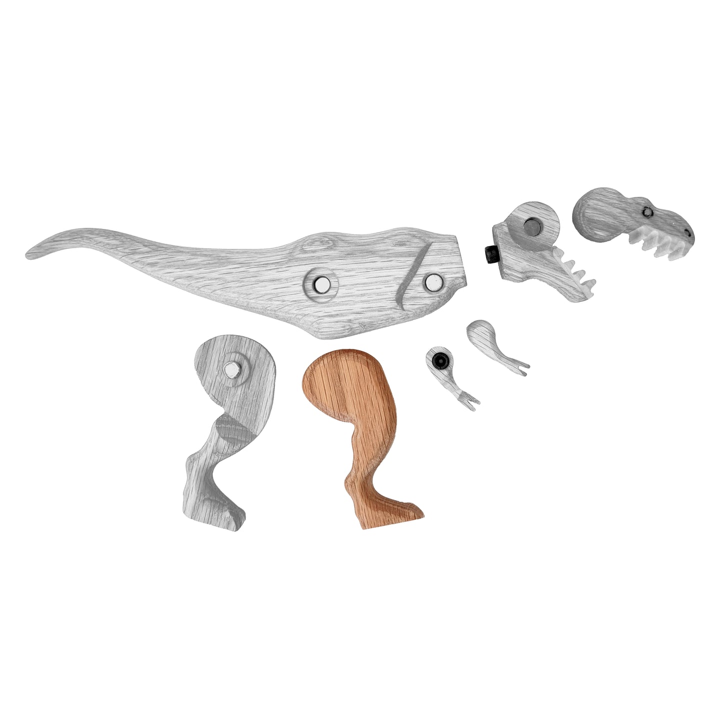 Tyrannosaurus Right Rear Leg