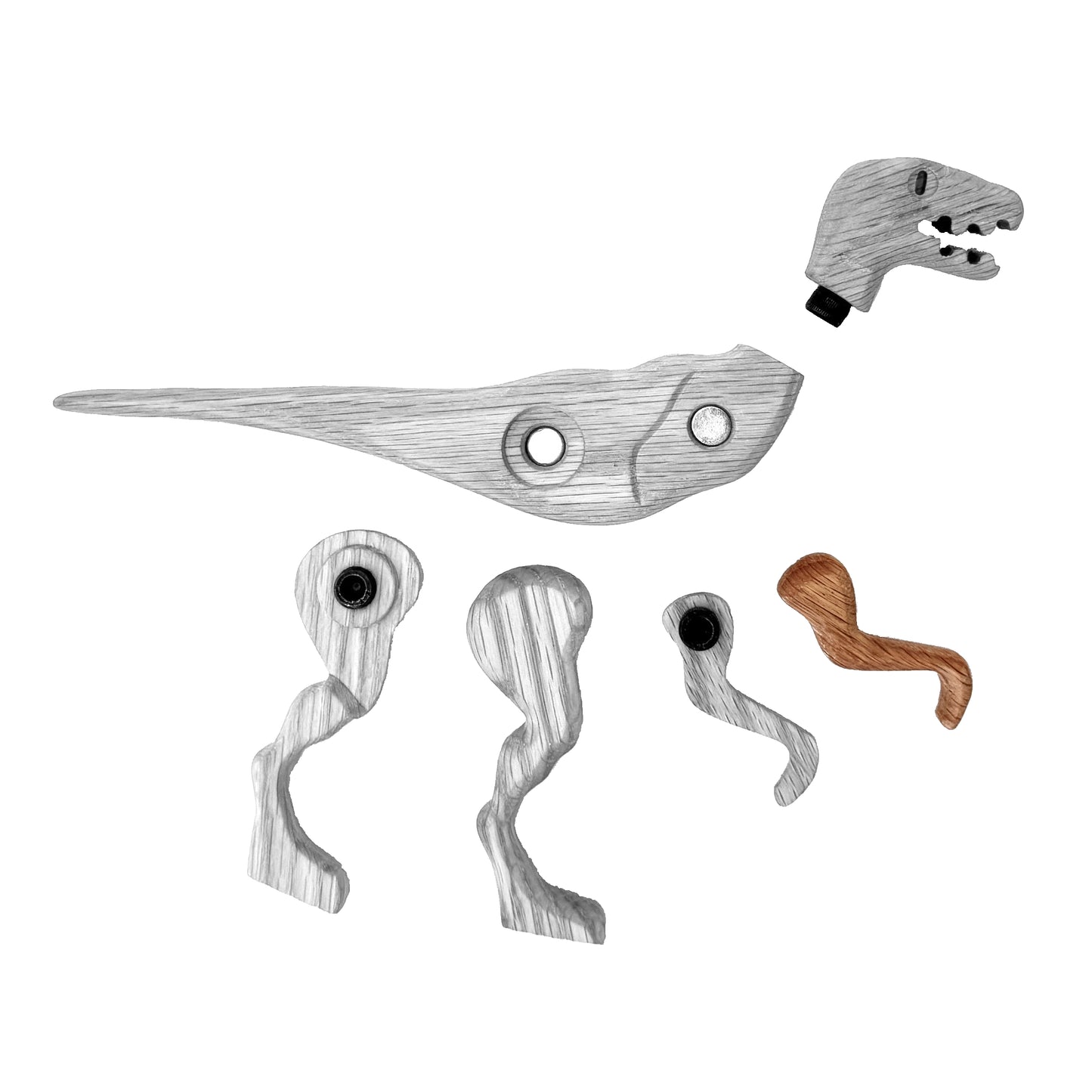 Velociraptor Right Arm