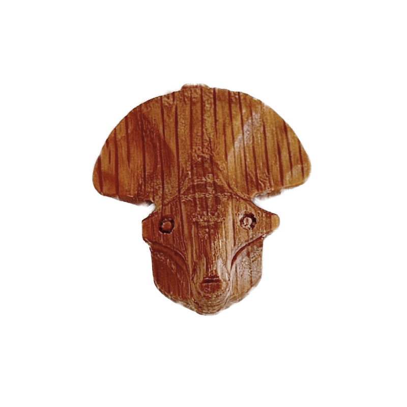 Protoceratops Head