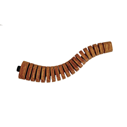 Apatosaurus Neck