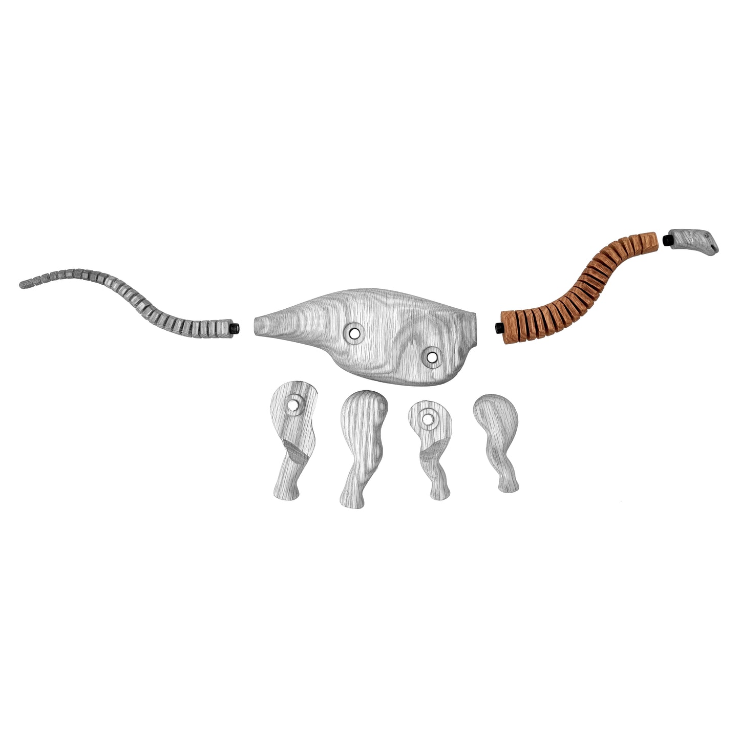 Apatosaurus Neck