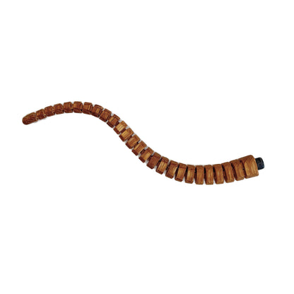 Apatosaurus Tail