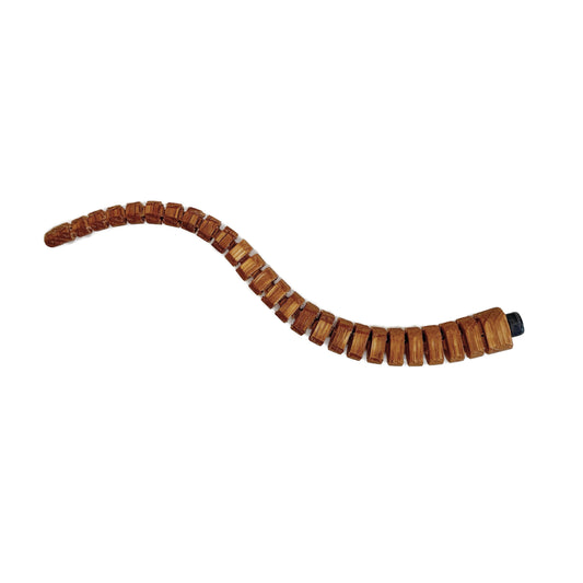 Apatosaurus Tail