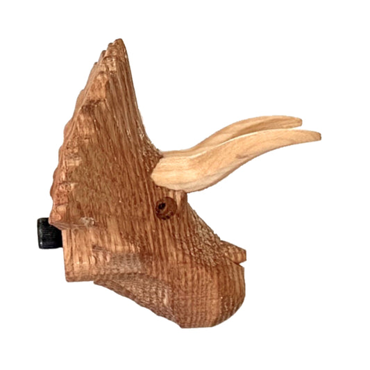Triceratops Head