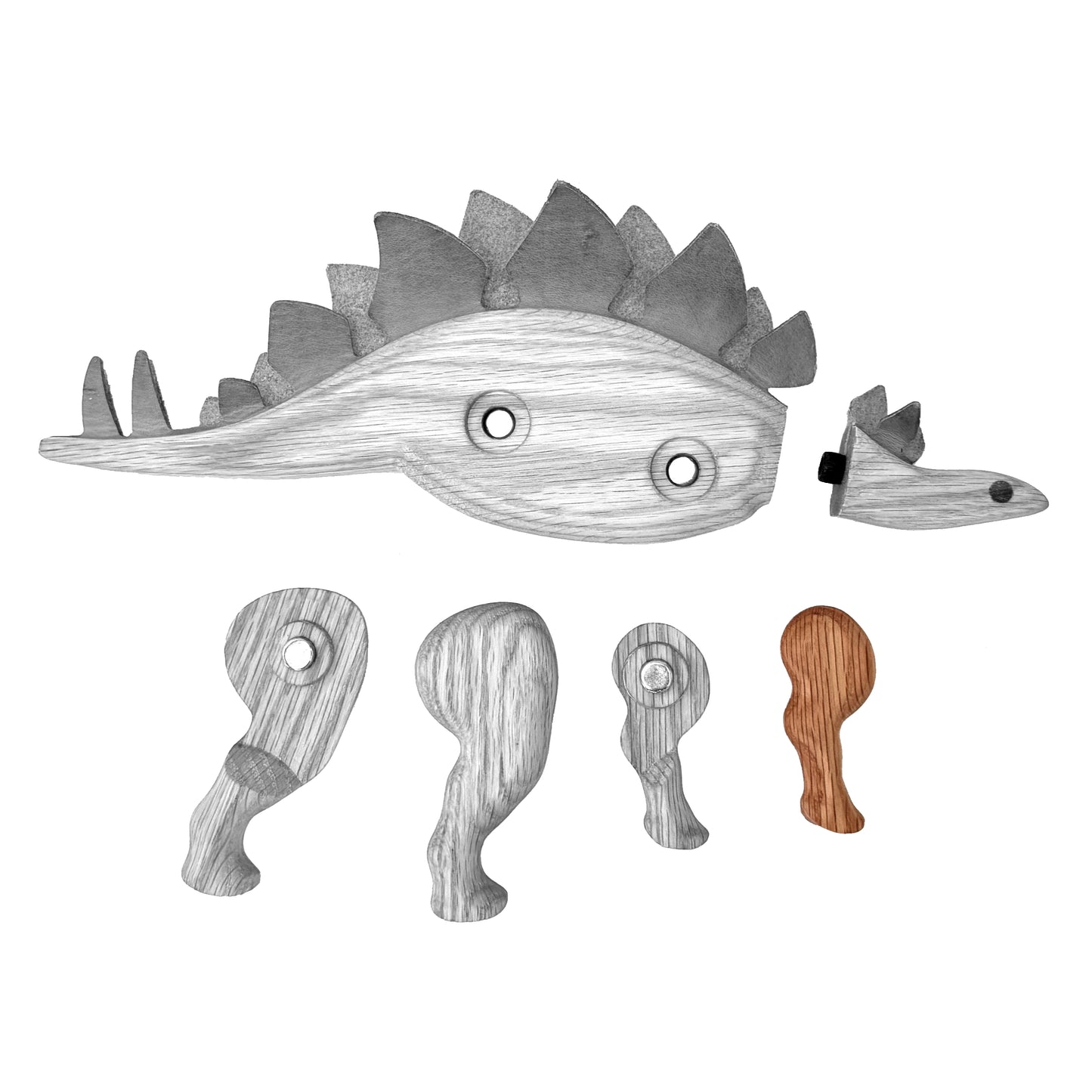 Stegosaurus Right Front Leg