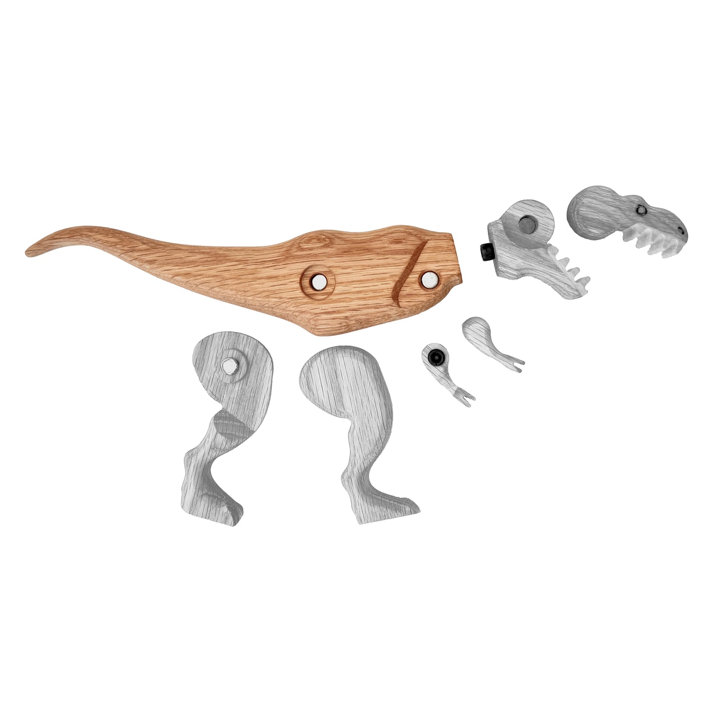 Tyrannosaurus Body