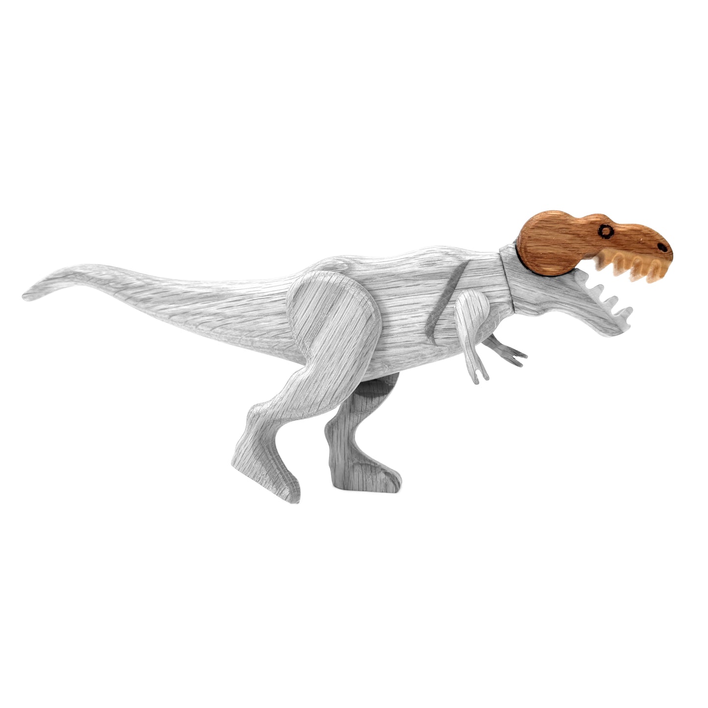 Tyrannosaurus Jaw