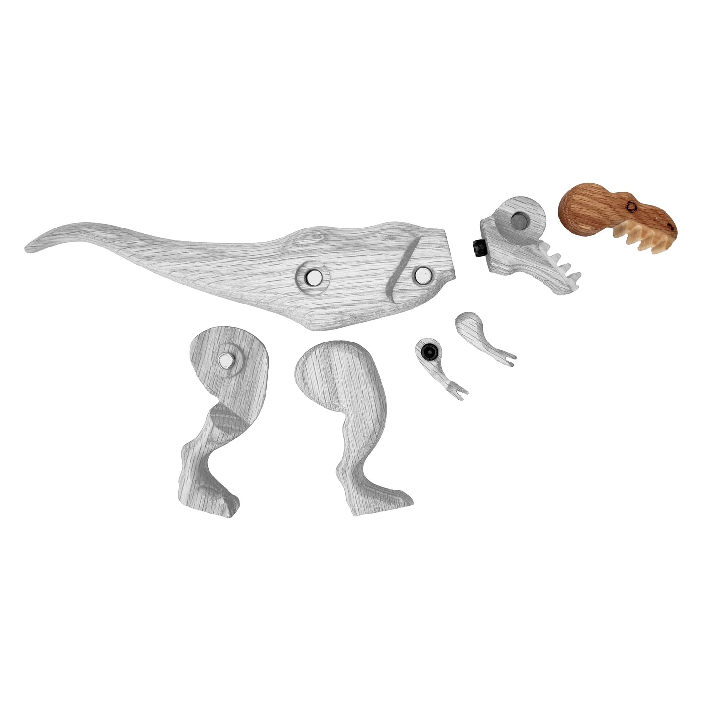 Tyrannosaurus Jaw