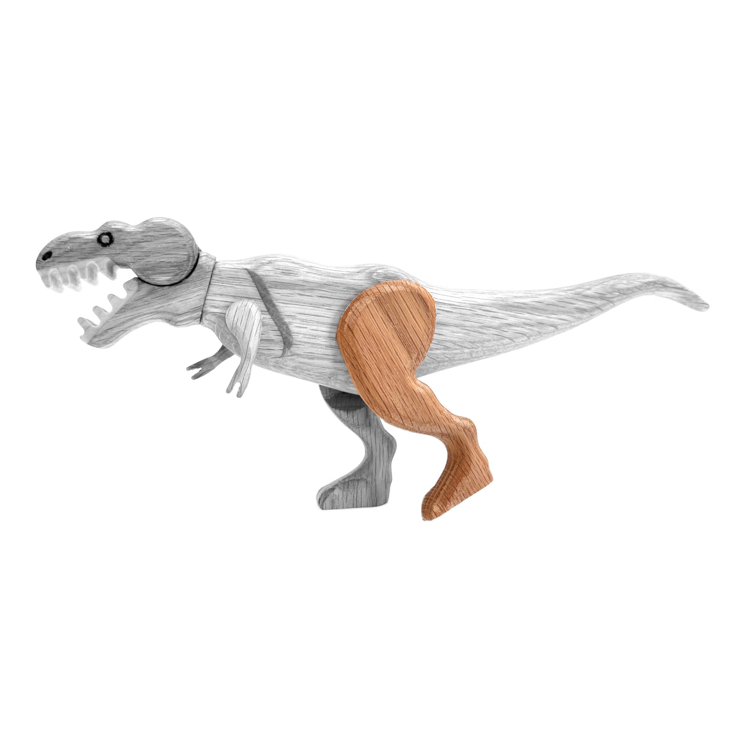 Tyrannosaurus Left Rear Leg