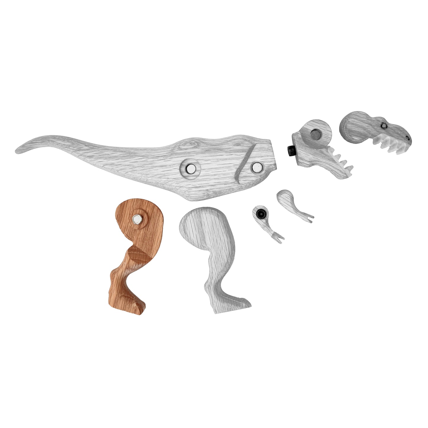 Tyrannosaurus Left Rear Leg