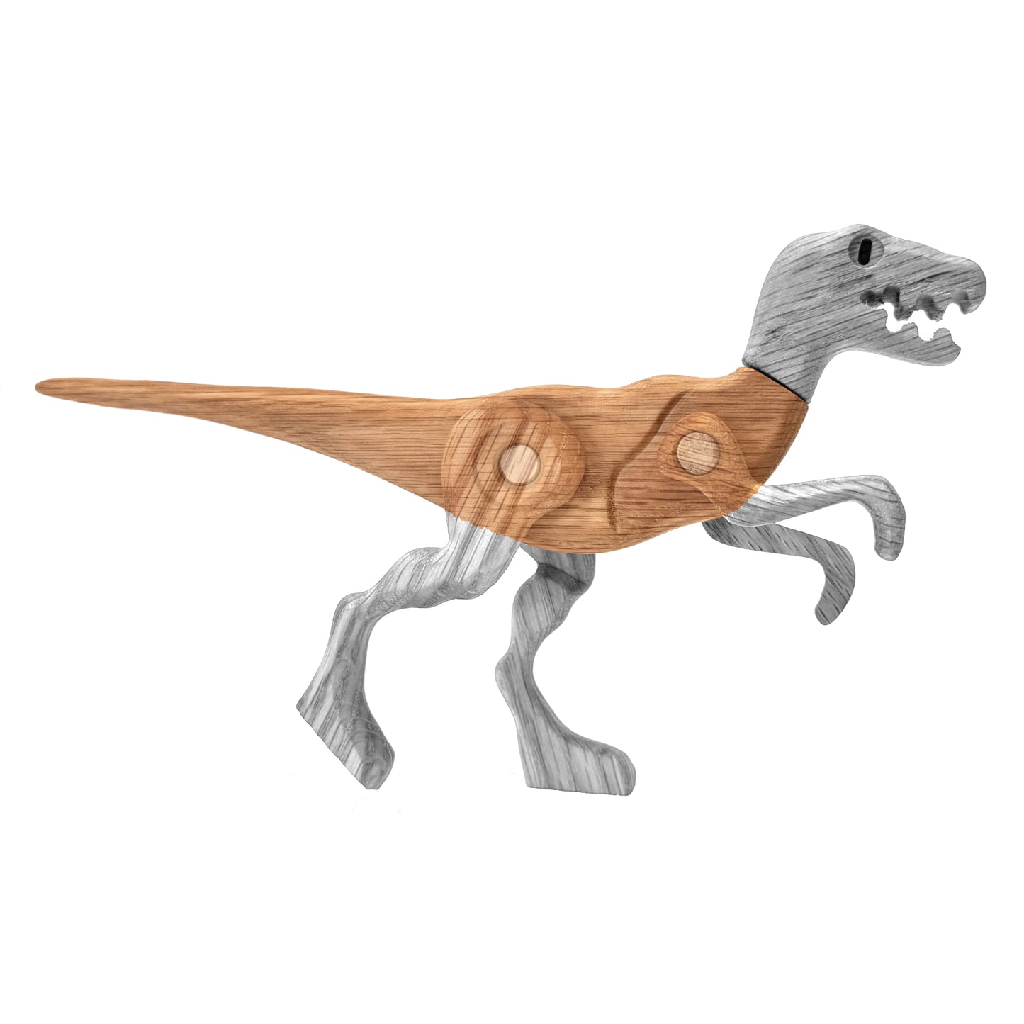 Velociraptor Body