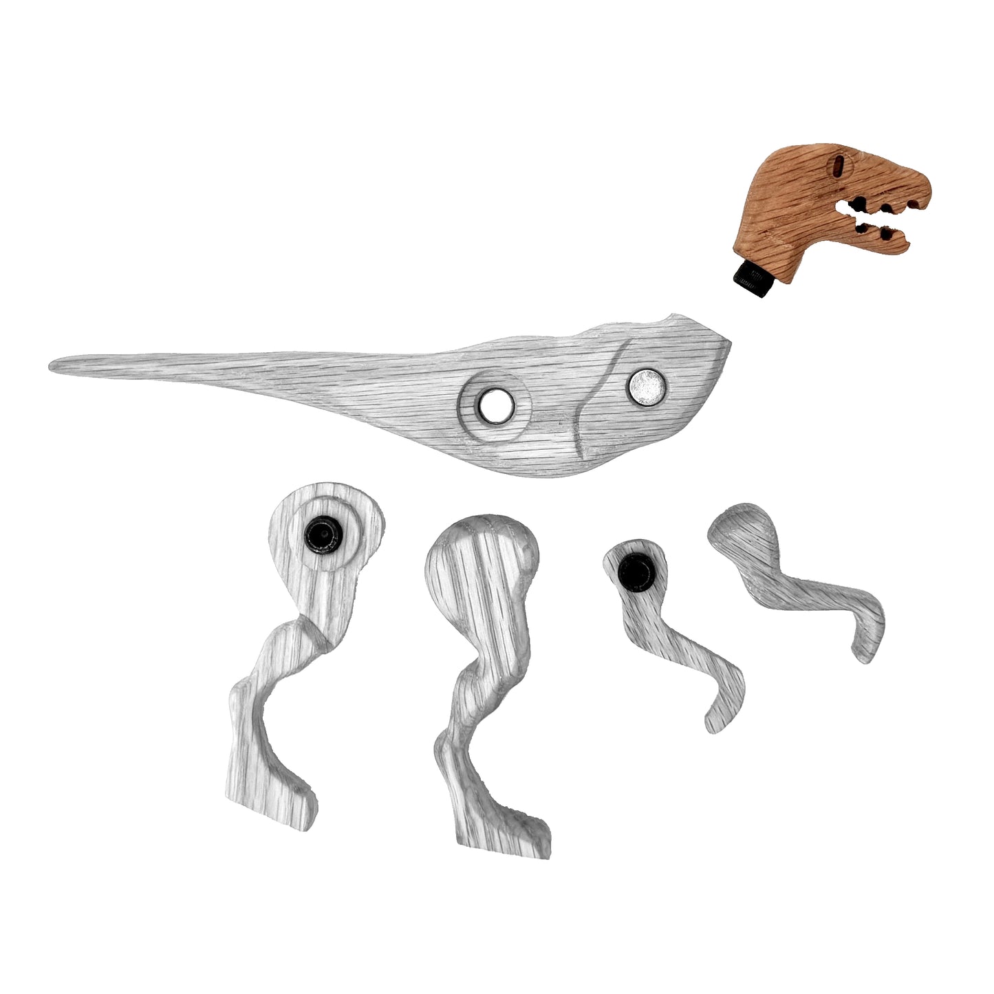 Velociraptor Head