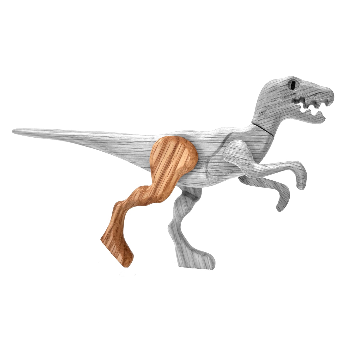 Velociraptor Right Rear Leg