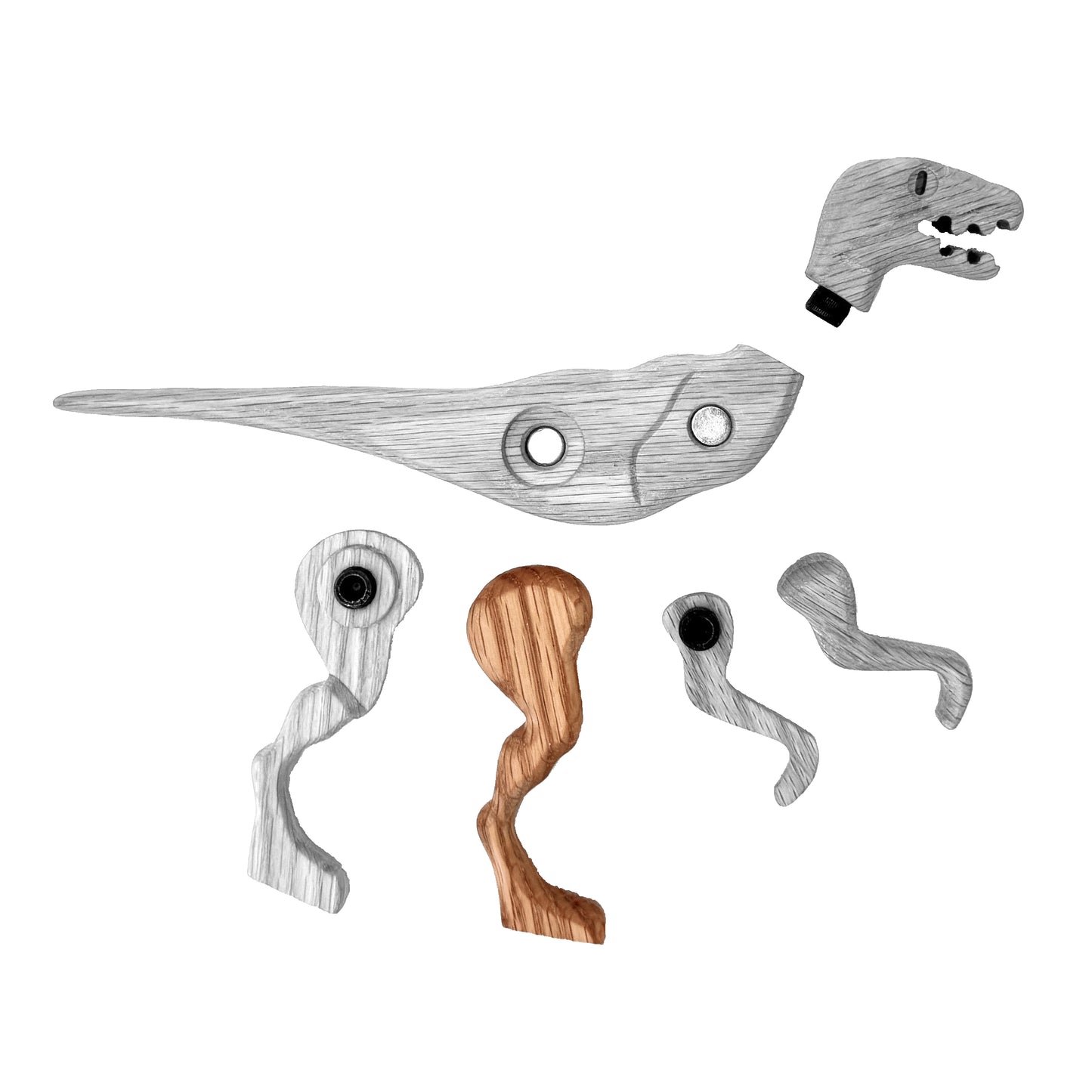 Velociraptor Right Rear Leg