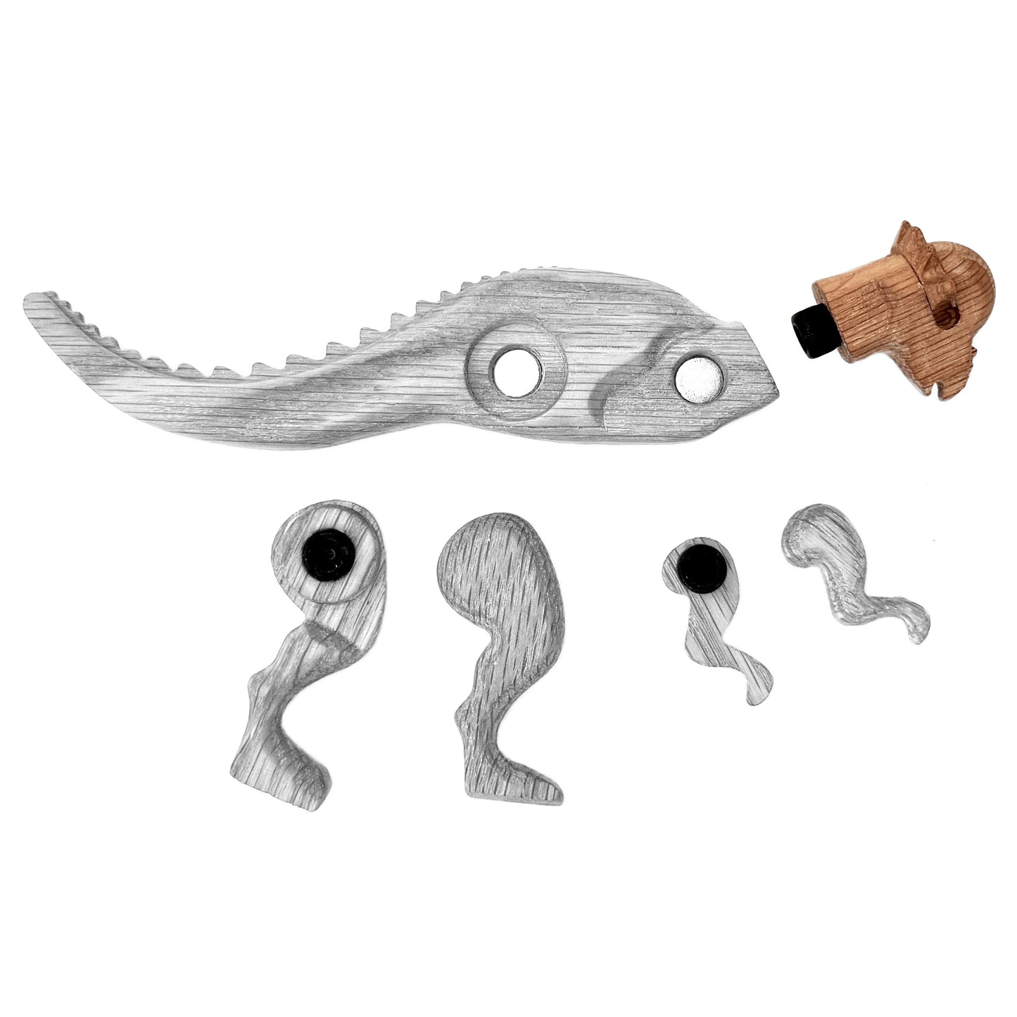 Pachycephalosaurus Head