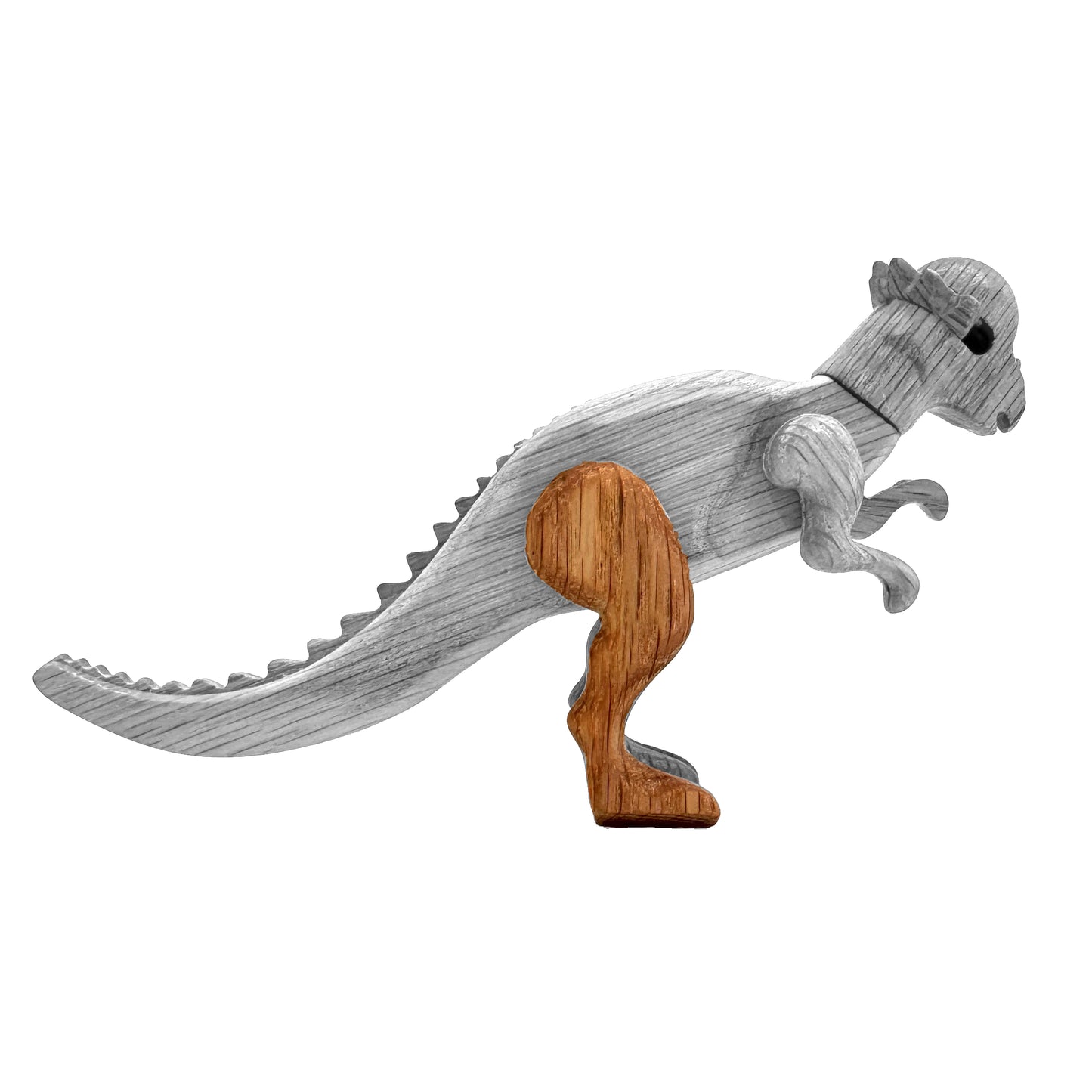 Pachycephalosaurus Right Rear Leg
