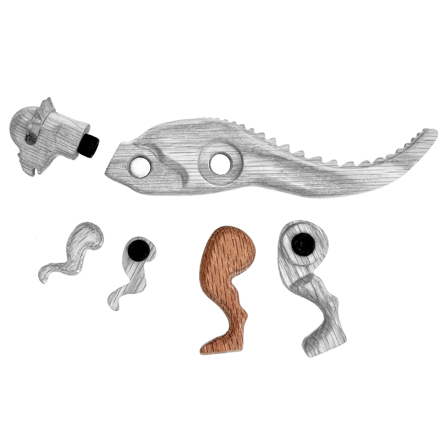 Pachycephalosaurus Left Rear Leg