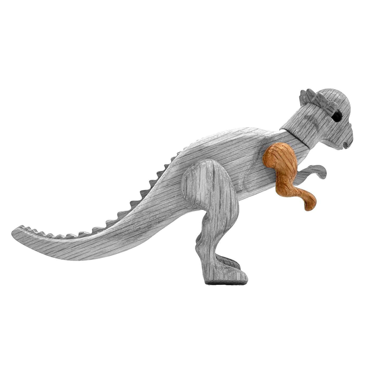Pachycephalosaurus Right Arm