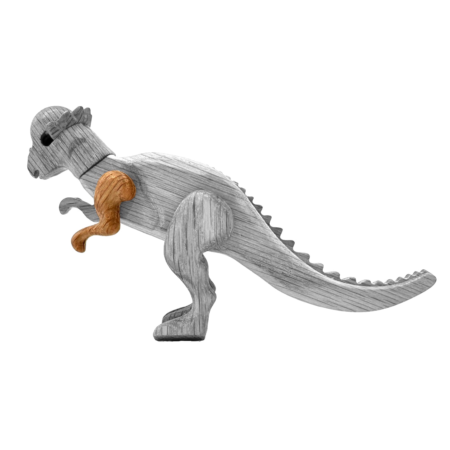 Pachycephalosaurus Left Arm