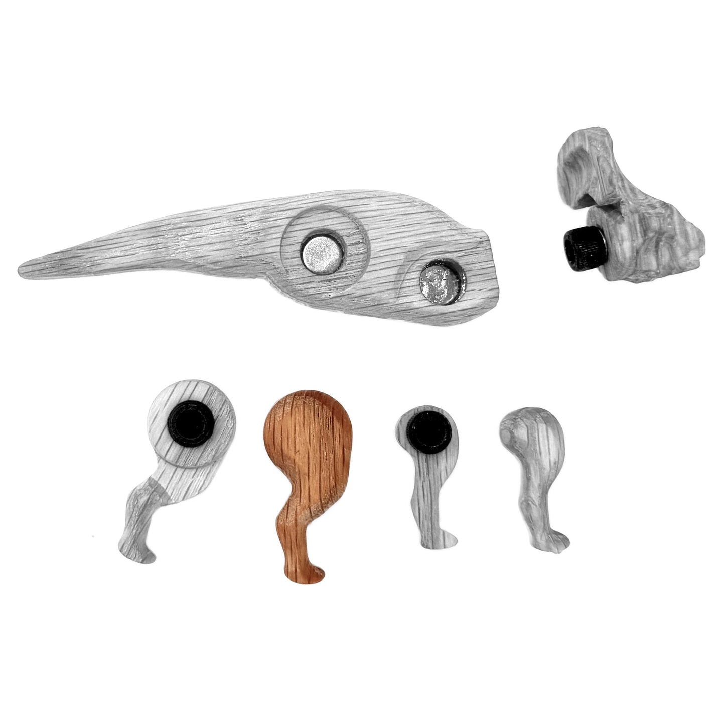 Protoceratops Right Rear Leg