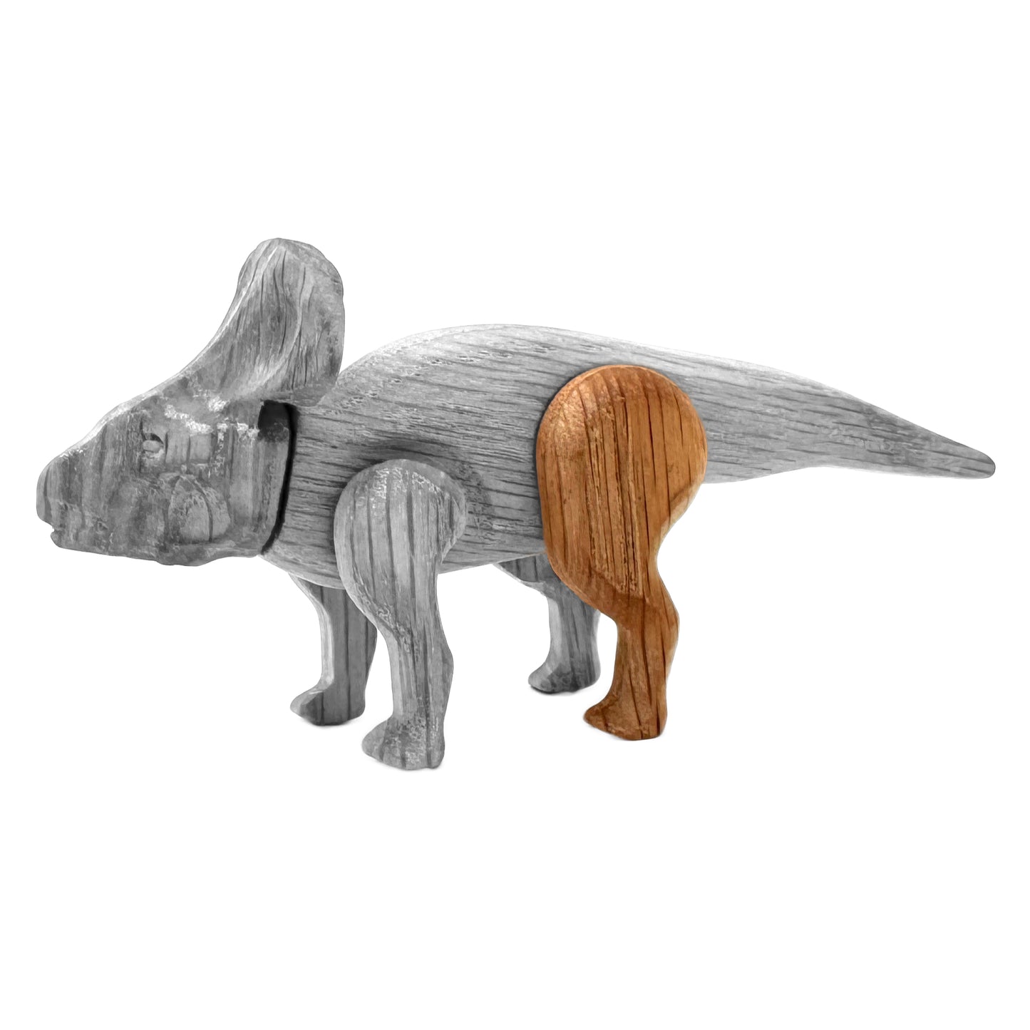 Protoceratops Left Rear Leg