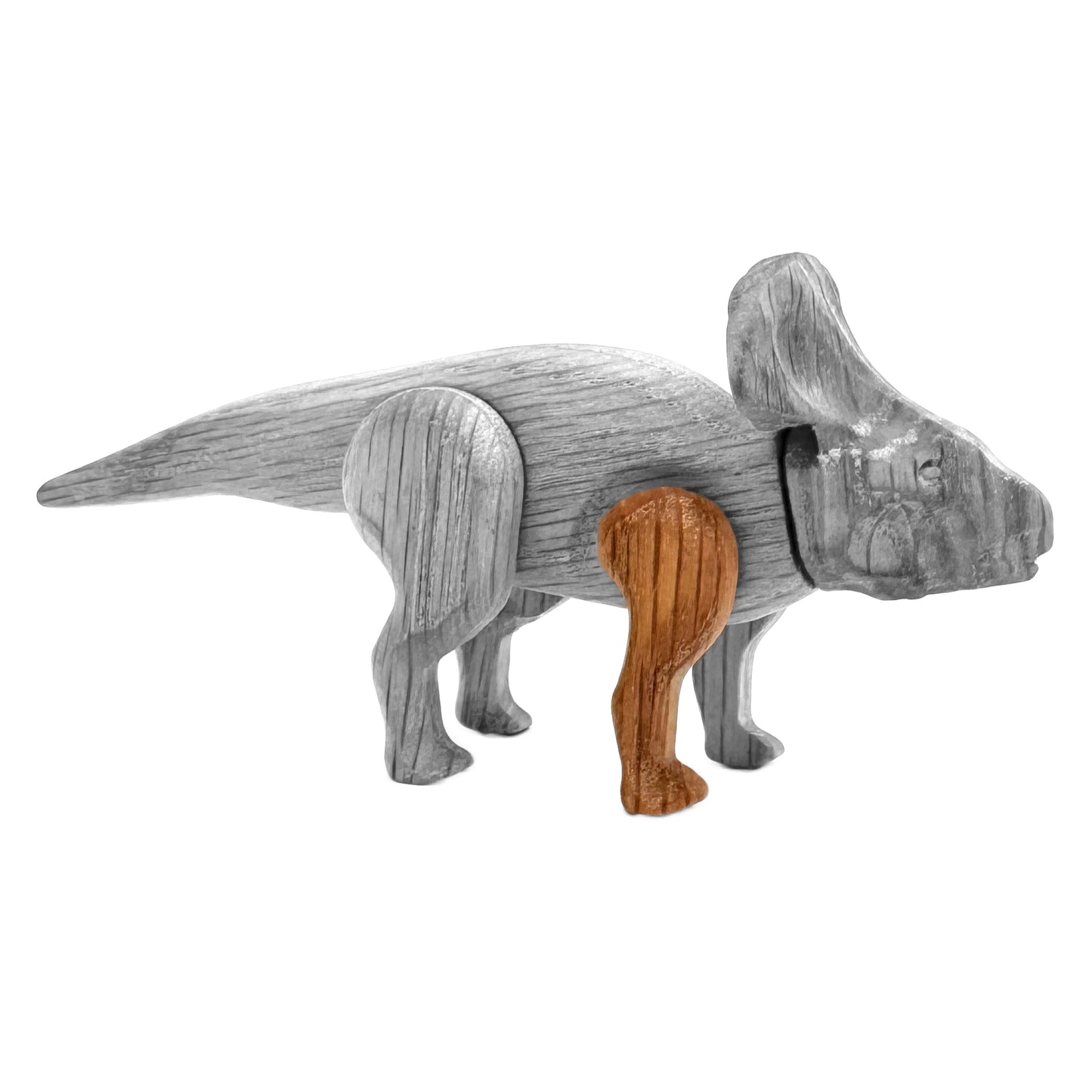 Protoceratops Right Front Leg